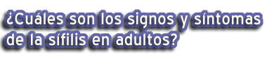 ¿Cuáles son los signos y síntomas de la sífilis en adultos?